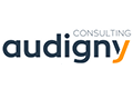 logos/audigny-consulting-33511.png