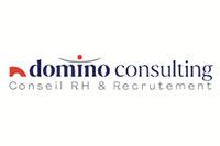 Domino-consulting
