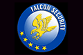 Falcon-security-37286